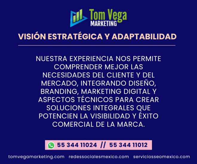 paginas web monterrey