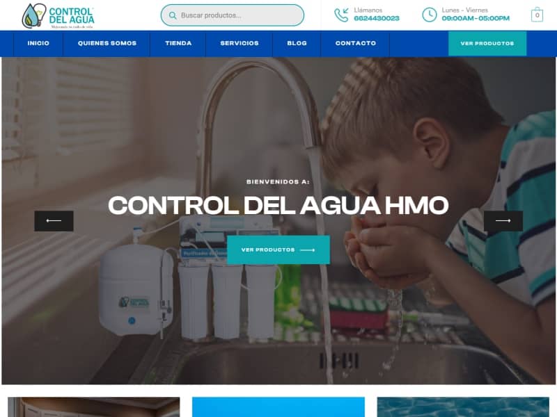 paginas tiendas en linea monterrey