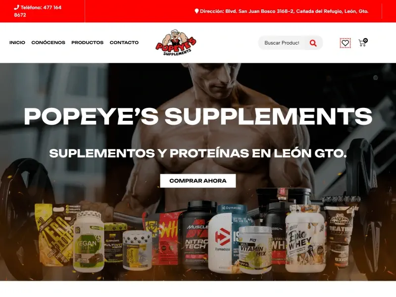 diseñadores web monterrey