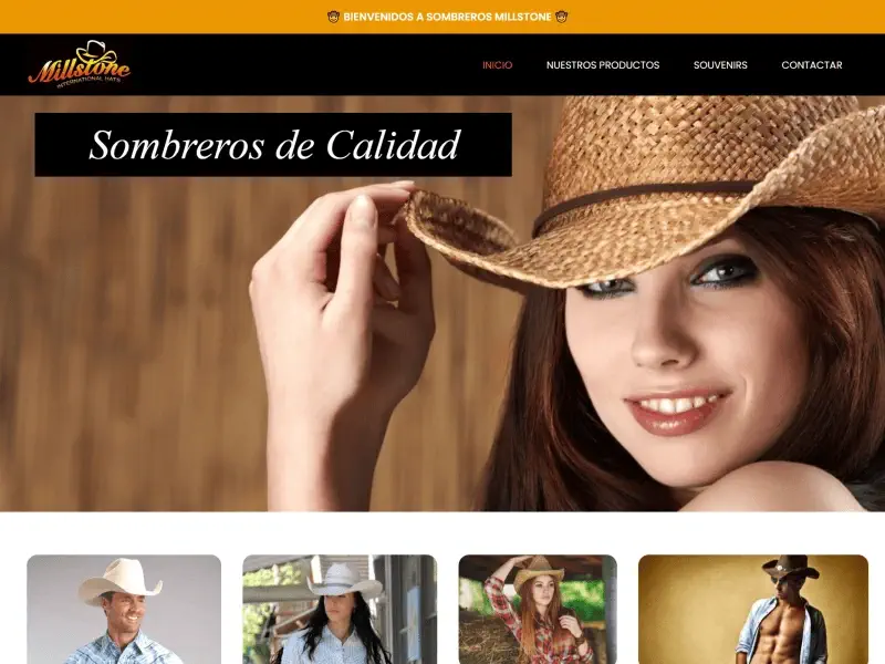 diseño paginas web monterrey